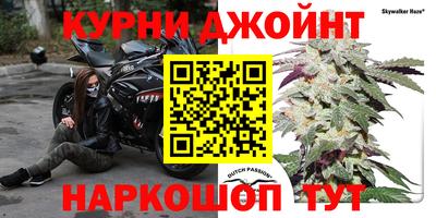 МДПВ Краснодар