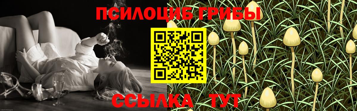 Галлюциногенные грибы мицелий Карталы