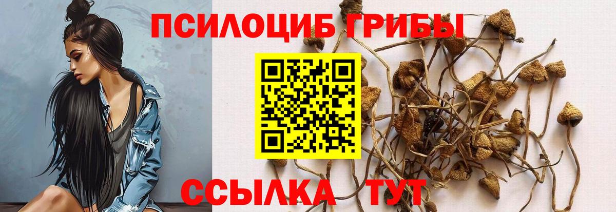 где продают наркотики  Вход с VPN  Карталы  Псилоцибиновые грибы мицелий 